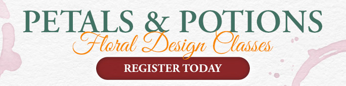 Design Classes