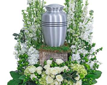 Urn Surrounds