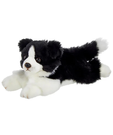 Shep the Border Collie - Bearington