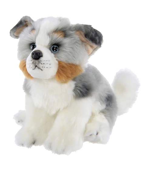 Hogan the Australian Shepherd - Bearington