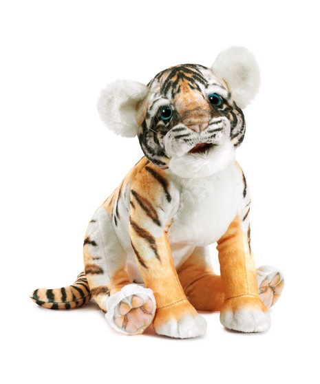 Baby Tiger