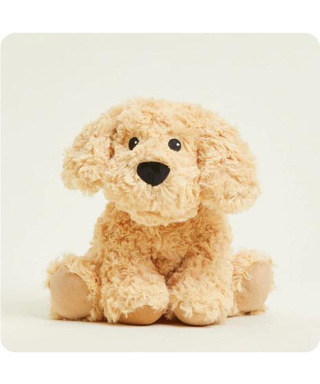 Golden Retriever - Warmies