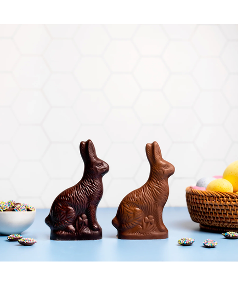 Enjou Chocolate Bunny