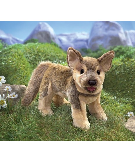 German Shepherd Puppy