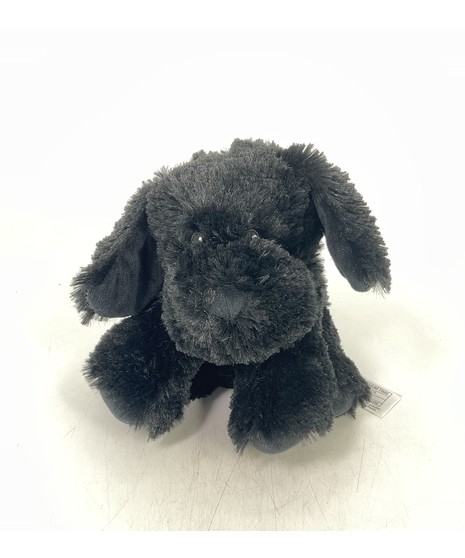 Black Labrador