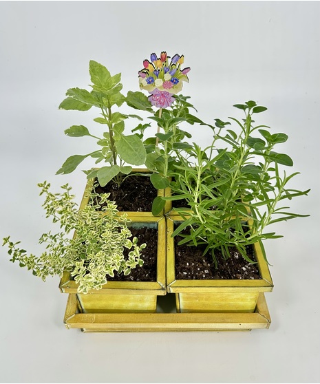 Heavenly Herbs