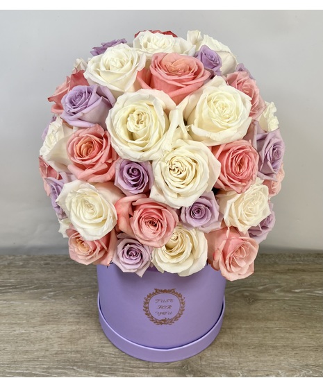 Pretty and Posh
