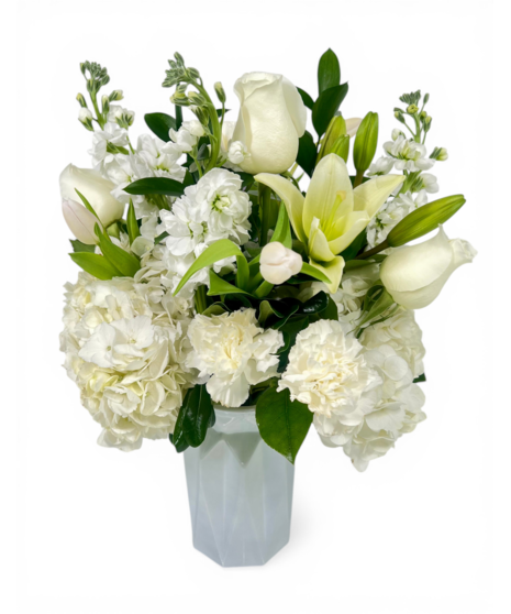 Spring's Gentle Grace