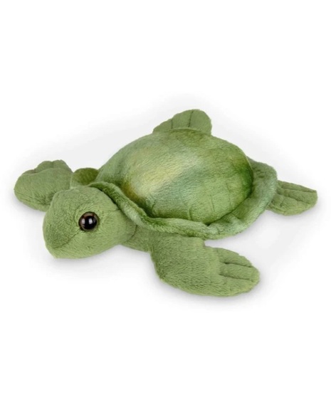 Lil Shelton the Sea Turtle