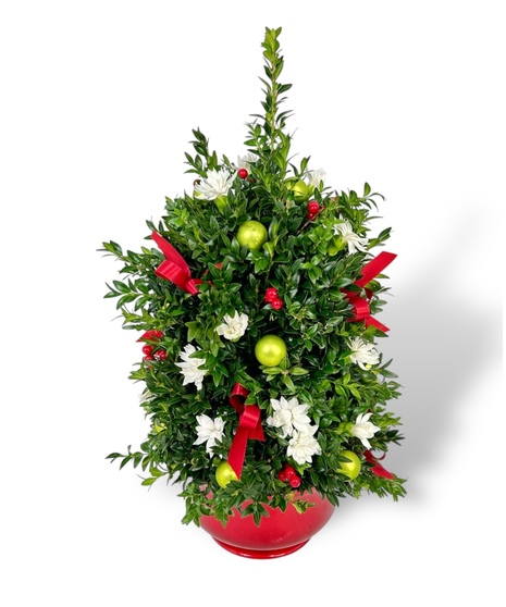 Boxwood Tabletop Tree