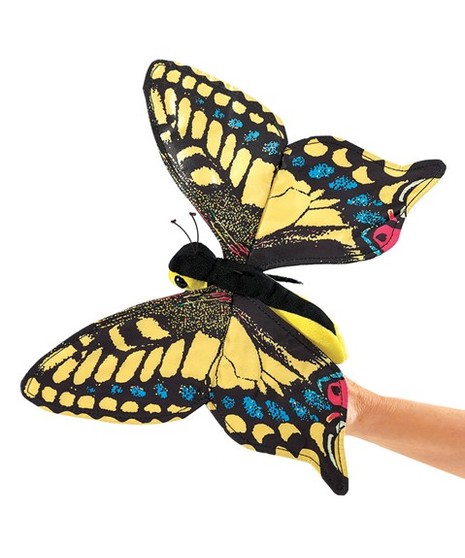 Swallowtail Butterfly