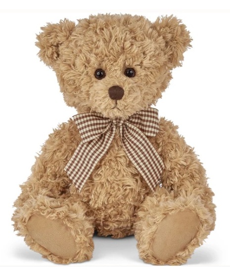 Theodore the Teddy Bear