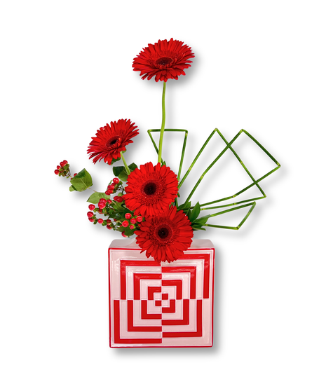 Chromatic Study - Rebloom Services Available