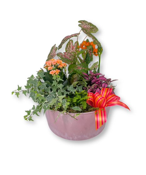 Rhea's Garden - bloom colors vary