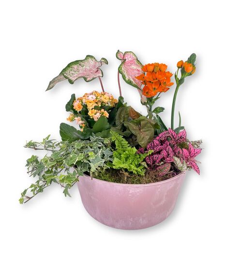 Rhea's Garden - bloom colors vary