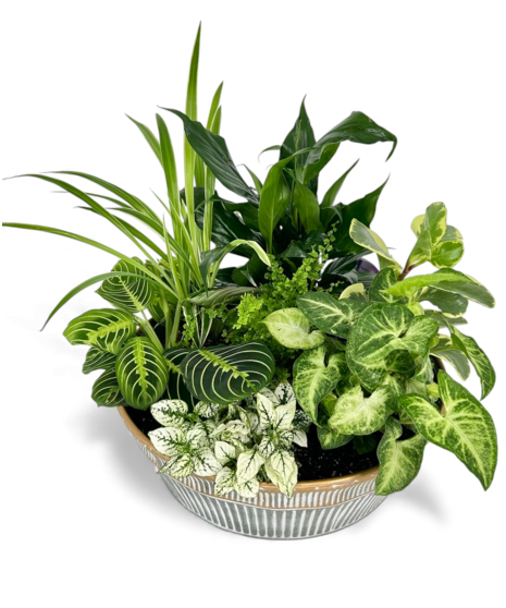 large dish garden with ceramic cross