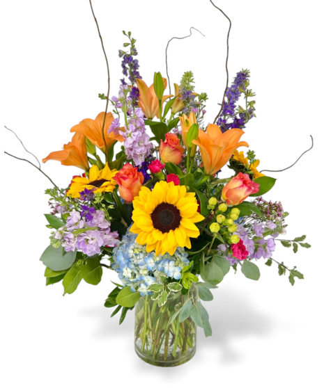 Pocketful of Sunshine