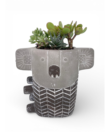 Little Joey Planter