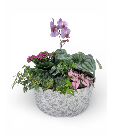 Persephone's Garden - colors may vary