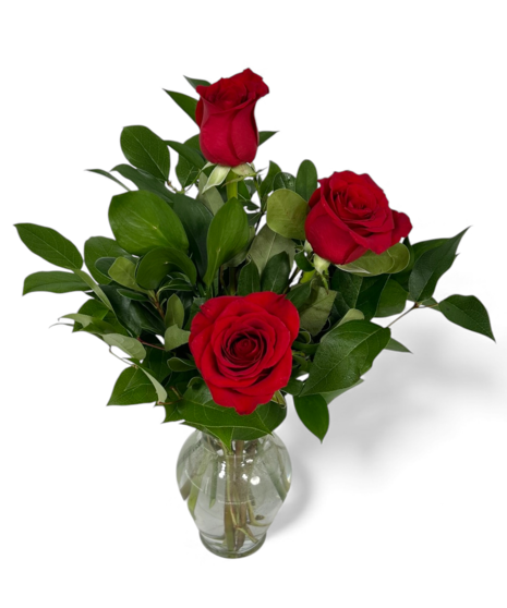 Simple Roses - vase may vary