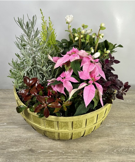 Large Winter Gardens