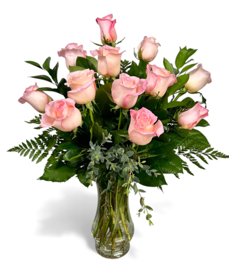 One Dozen Premium Long-Stemmed Roses - multiple colors available