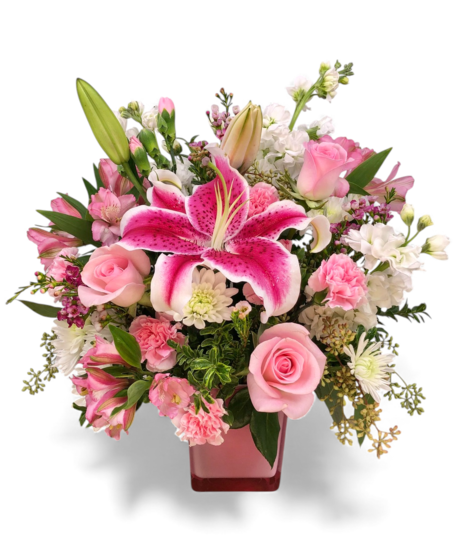 George's Healing Tears