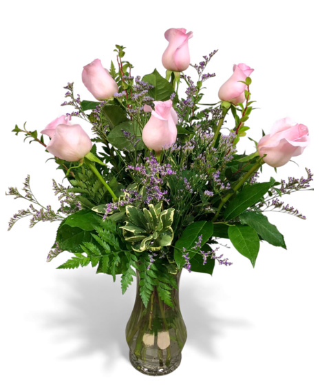 Six Premium Long Stemmed Pink Roses