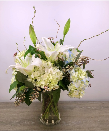 Hydrangea Elegance