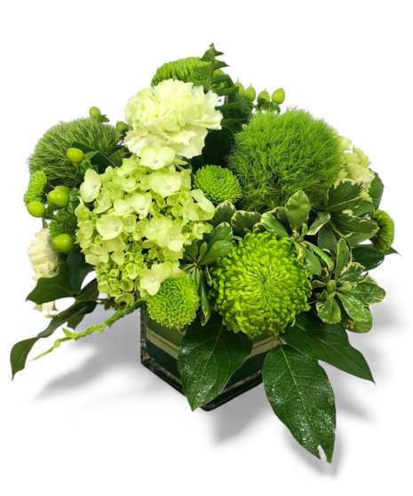 George's Green Majesty