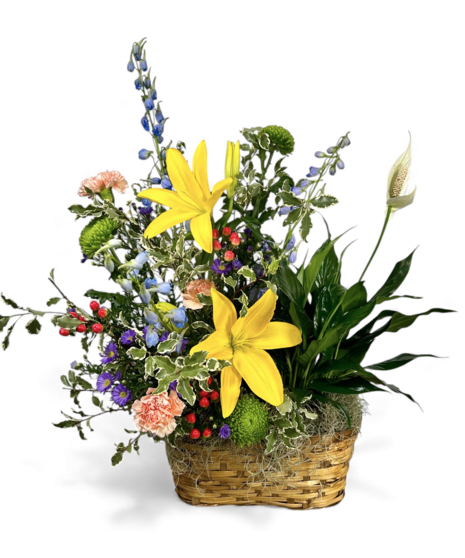 Flowering Plants