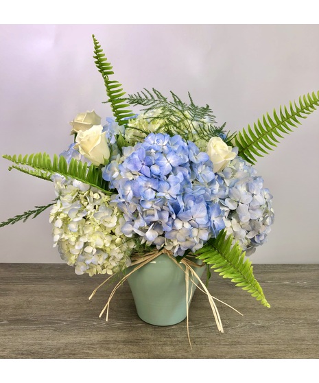 Blue in Bloom