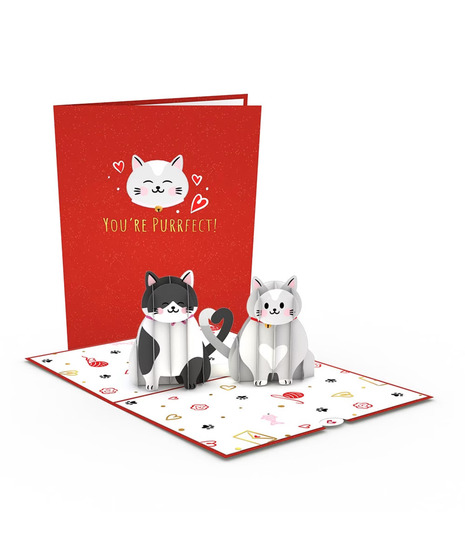 Lovepop Love Cats