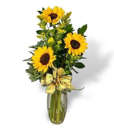 Sunflower Dreams