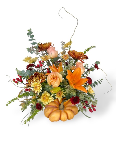 Pumpkin Harvest