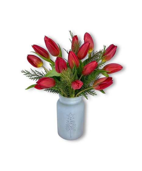 Christmas Tulips