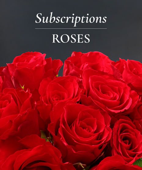 Roses Monthly Subscription