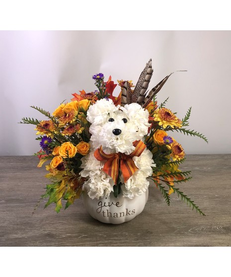 Thankful Pup