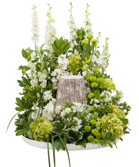 Elegance Surround