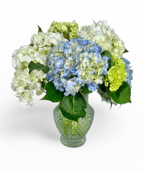 Mother's Day