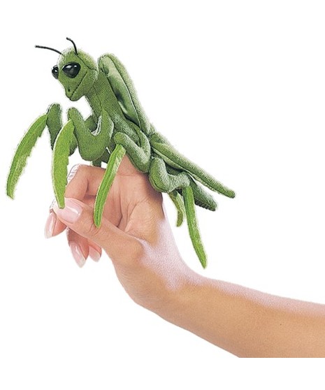 Mini Praying Mantis
