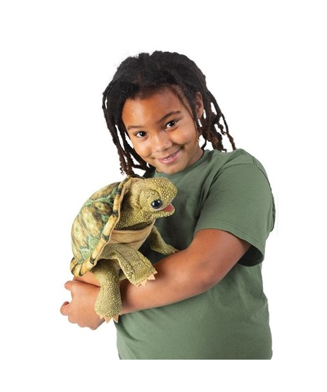 Standing Tortoise